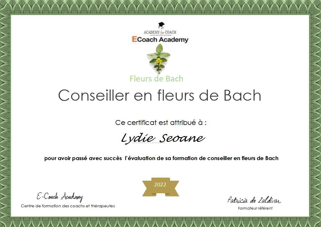 Certificat copie