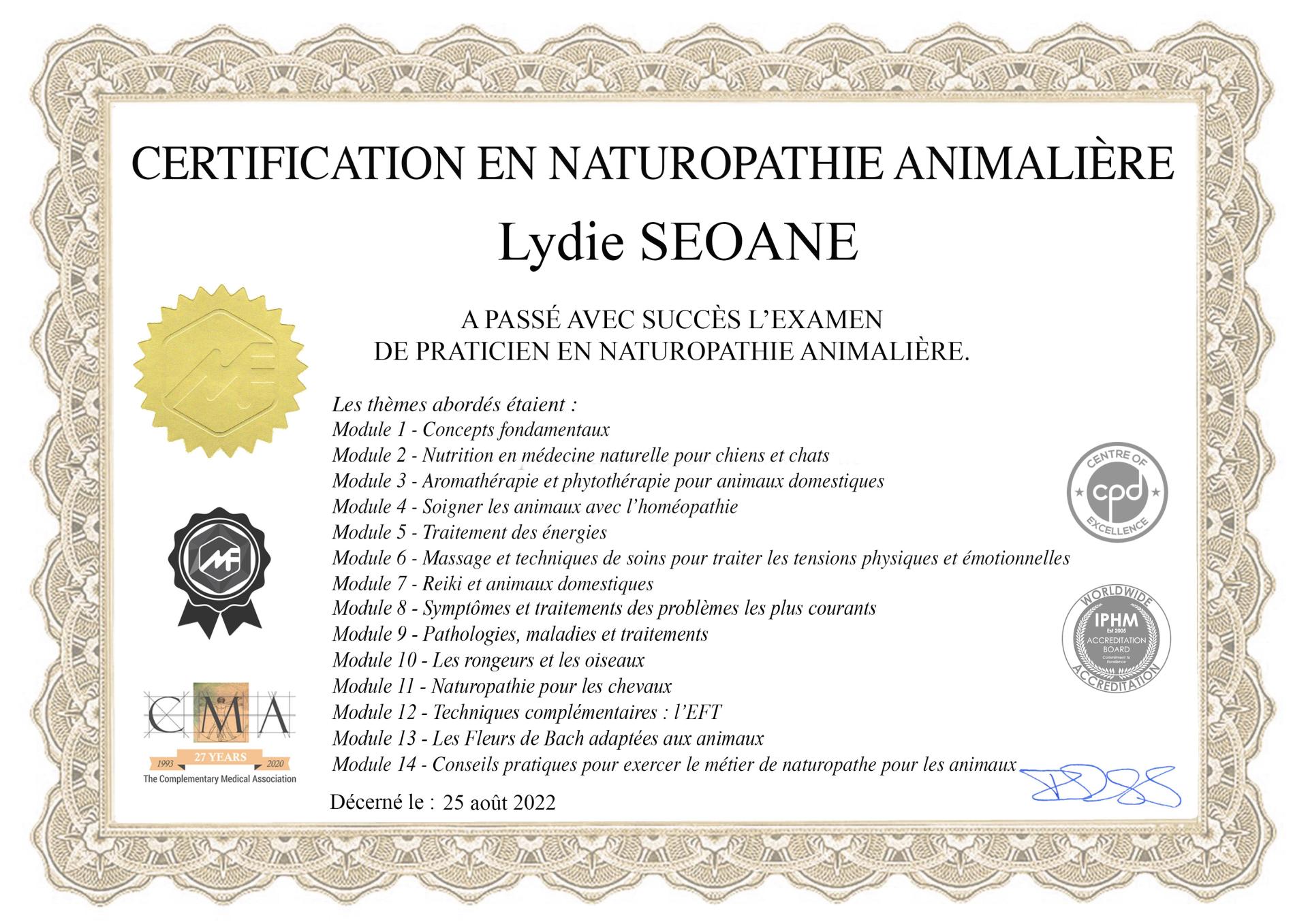 Certificat diplome lydie seoane