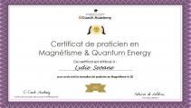 Certificatmagnetqe 2022