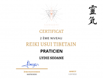 Copie de diplome reiki niveau 2 1