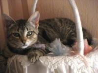 Misty et prisca avec white 76