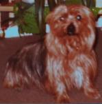 20200715 132706 copie