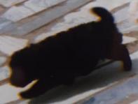 20200715 133440 copie